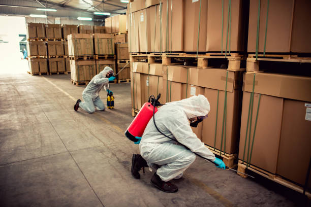Best Pest Removal Services  in Tucson, AZ