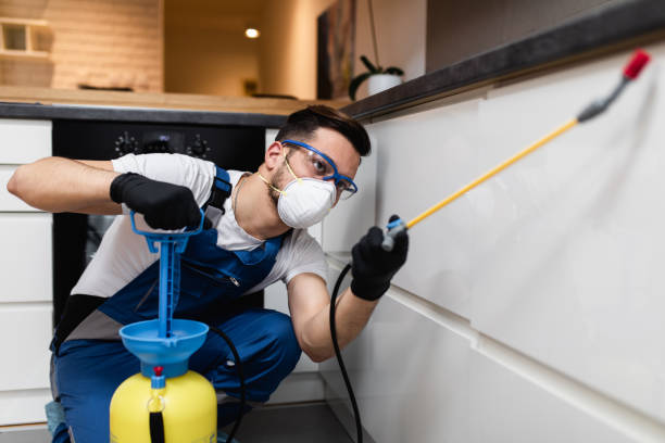 Pest Control for Restaurants in Tucson, AZ