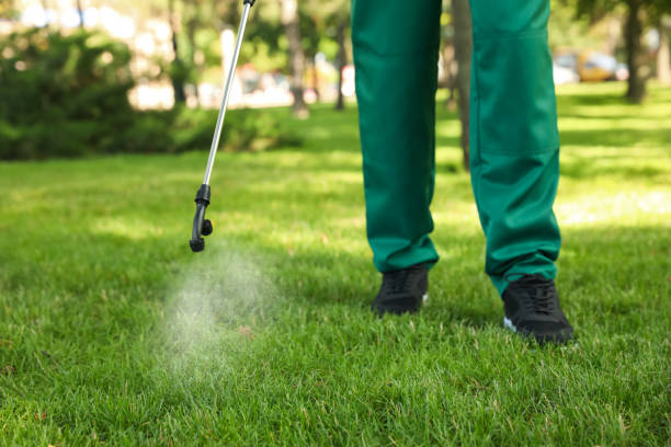 Best Mosquito Control Services  in Tucson, AZ