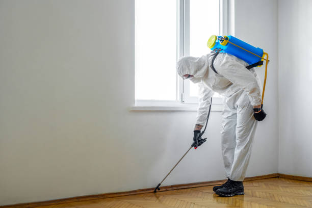 Best Mosquito Control Services  in Tucson, AZ