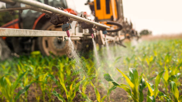 Best Commercial Pest Control Services  in Tucson, AZ