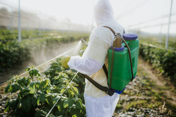Best Pest Prevention Services  in Tucson, AZ